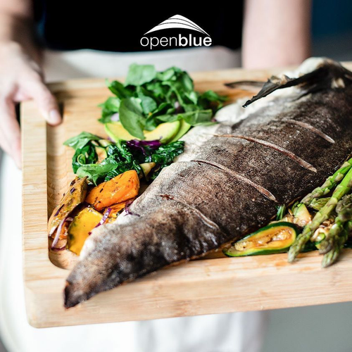 Open Blue Cobia: A Must-Have for Wholesalers and Food Service Distributors in Today’s Competitive Market