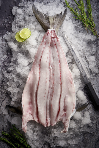 Hook More Customers through the Appeal of Open Blue Cobia