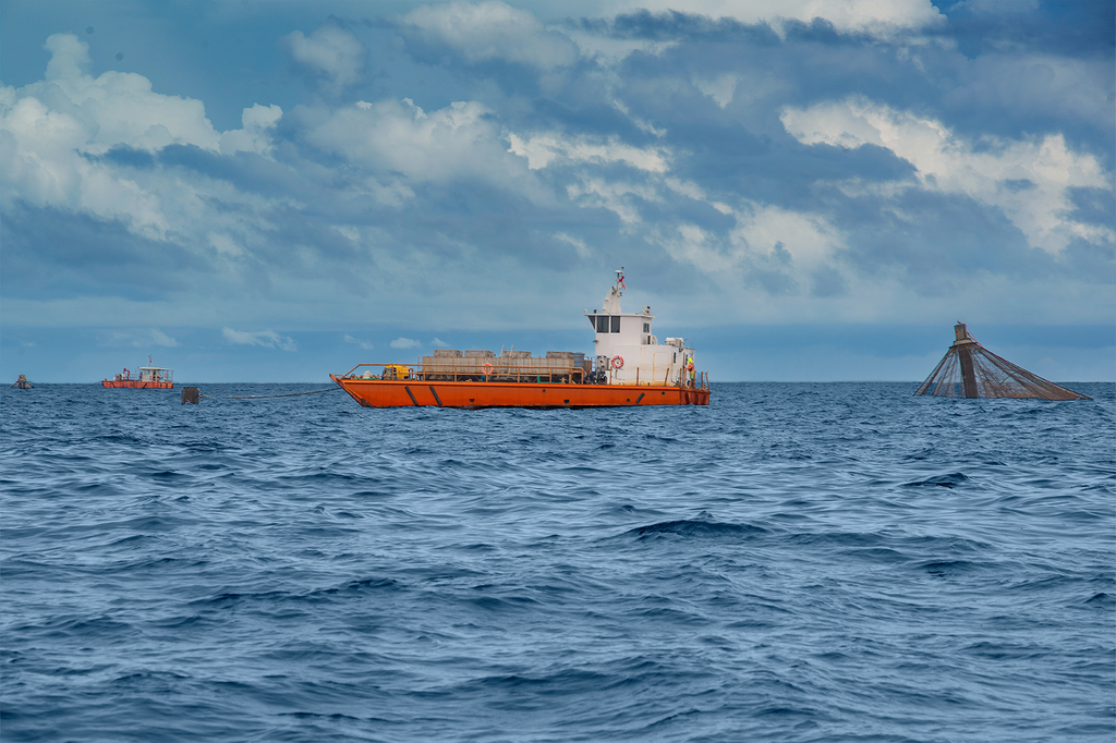 Exploring the Ethical and Environmental Benefits of Fish Mariculture