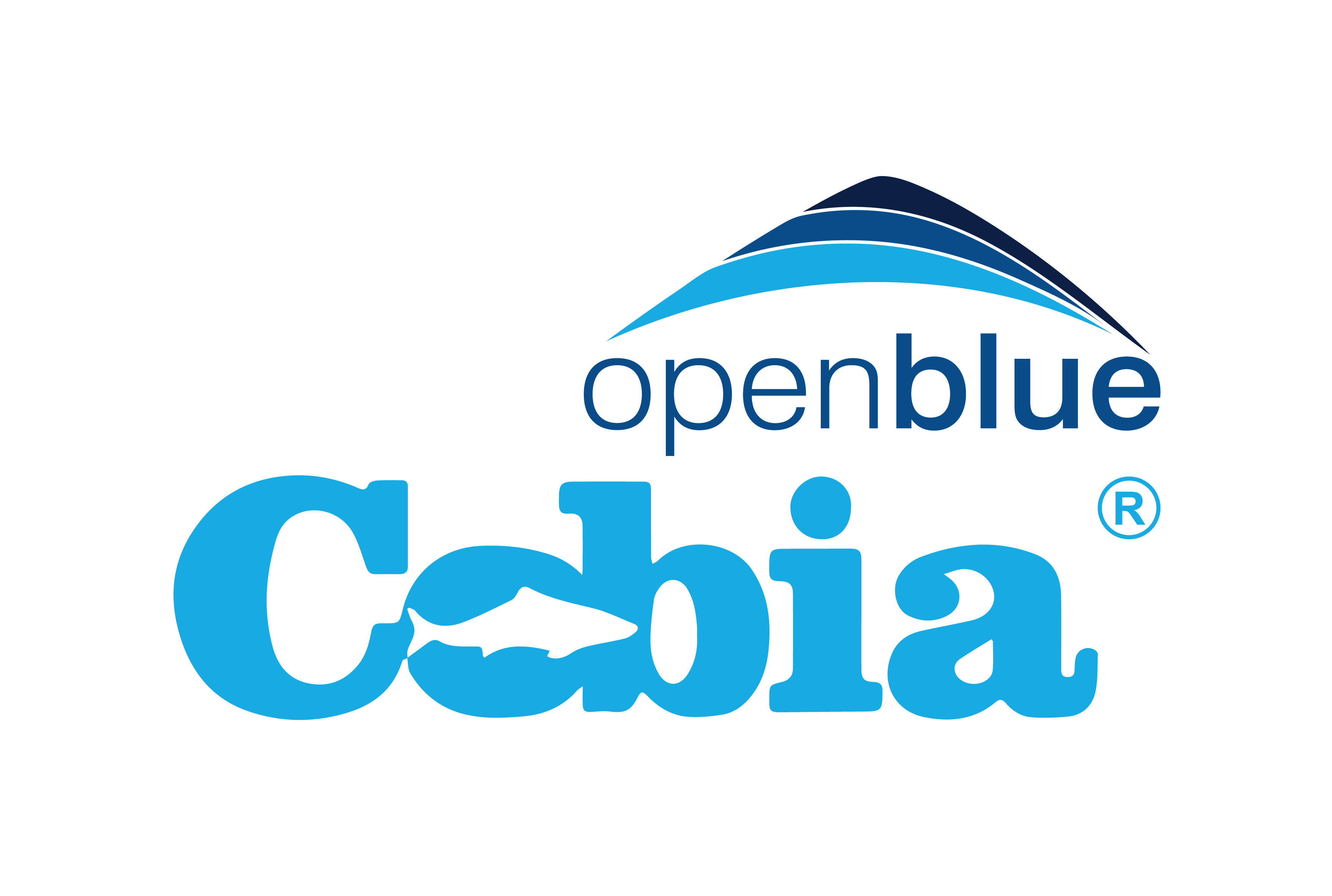 Open Blue Cobia
