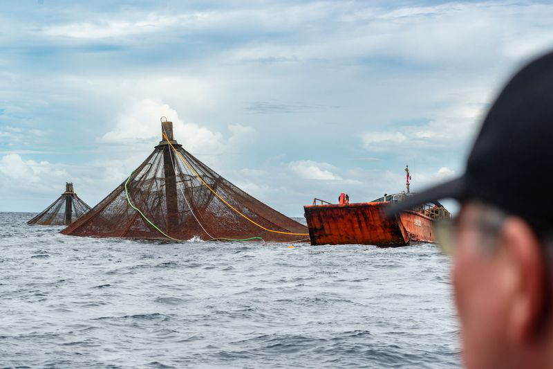 The Journey of Open Blue Cobia: From Ocean to Plate