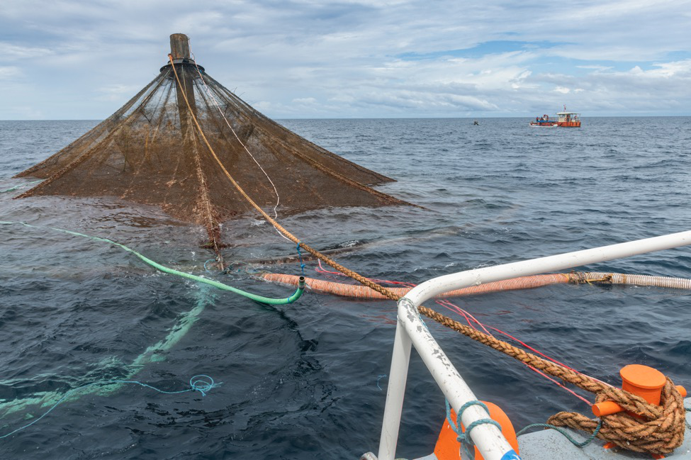 6 Challenges for Open Ocean Fish Farms in 2023 and the Rise of Sustainability