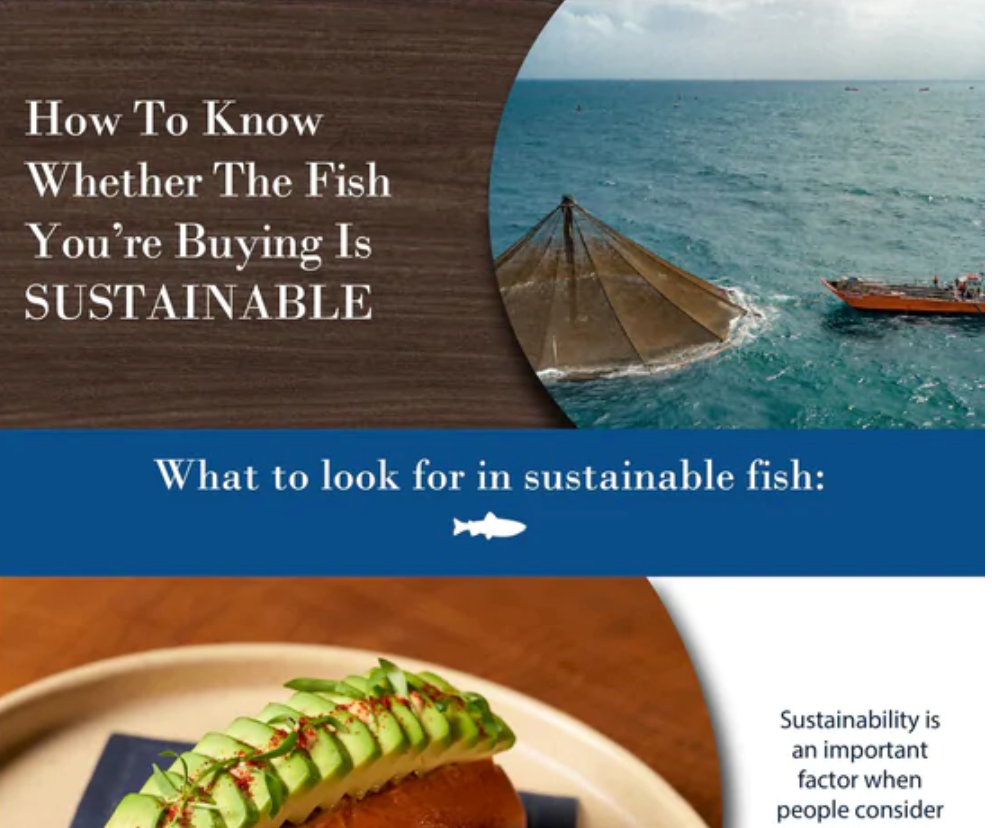 How to know Whether The Fish You are Buying is Sustainable | Open Blue ...