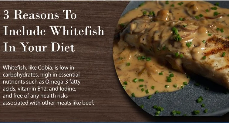 3 Reasons To include Whitefish In your Diet