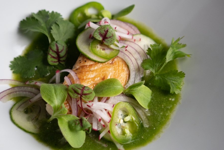 Cobia Aguachile