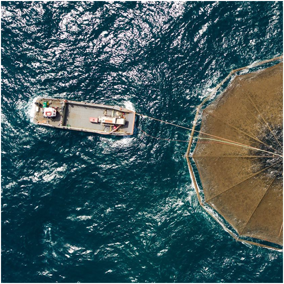 8 Benefits of Sustainable Fish Aquaculture Farms